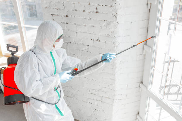 Mold Odor Removal Services in Onalaska, WI